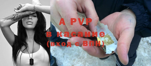 молекула духа Арсеньев