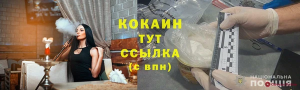 молекула духа Арсеньев