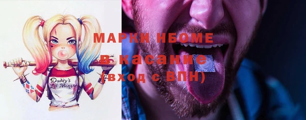 молекула духа Арсеньев