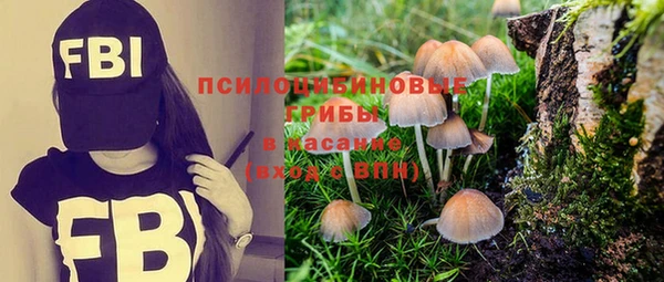 молекула духа Арсеньев