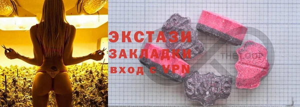 молекула духа Арсеньев