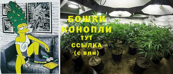 молекула духа Арсеньев