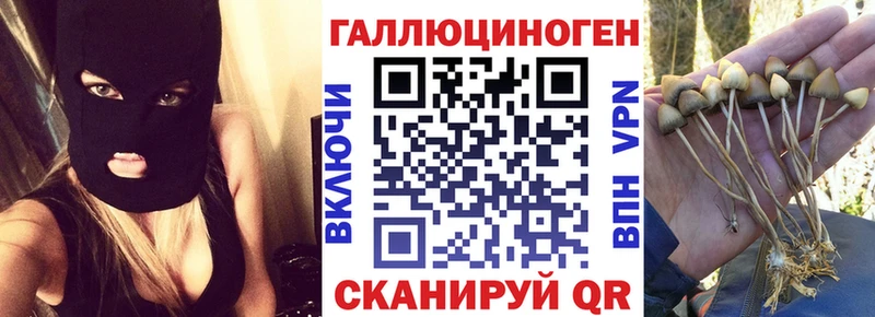 Псилоцибиновые грибы прущие грибы  Дыгулыбгей 