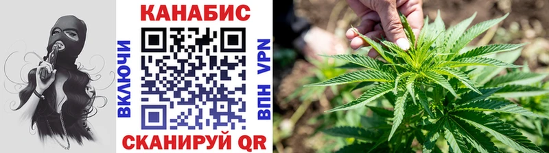 Канабис SATIVA & INDICA  Дыгулыбгей 